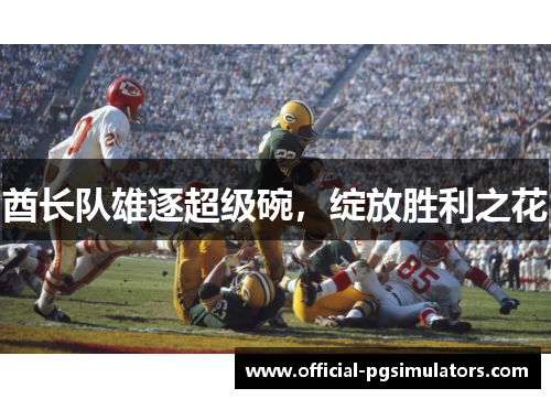 酋长队雄逐超级碗，绽放胜利之花