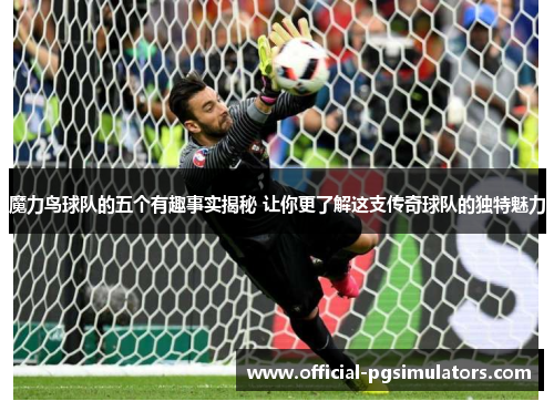 魔力鸟球队的五个有趣事实揭秘 让你更了解这支传奇球队的独特魅力 魔力鸟球队的五个有趣事实揭秘 让你更了解这支传奇球队的独特魅力